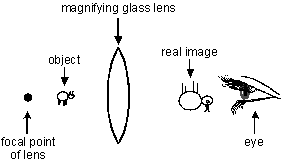 diagram D illustrates an object between a magnifying lens and the focal point of the lens