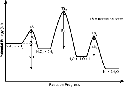 A reaction profile diagram is shown with potential energy plotted versus reaction progress. 