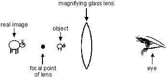 diagram C illustrates an object between a magnifying lens and the focal point of the lens