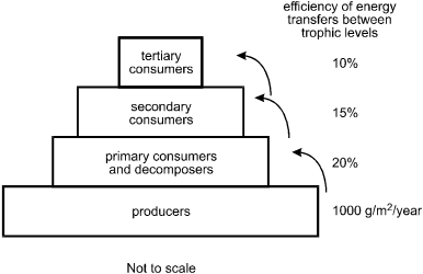 Diagram depicting stacked rectangles.