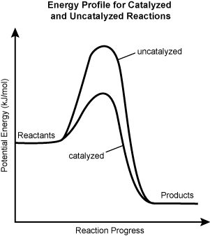 catalyzed and uncatalyzed reactions. 