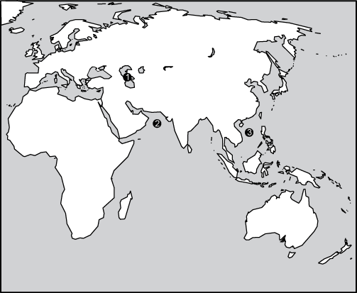 A map shows the continents of
	Europe, Asia, Africa, and Australia. 