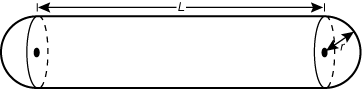 right cylinder with length of L.
	there is a half circle or hemisphere on each end of the right cylinder
	with radius r