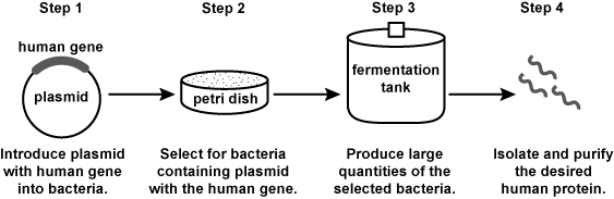 shown are 4 steps