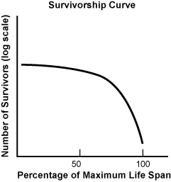 survivorship curve